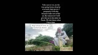 Bring cats visit his graves for the first time