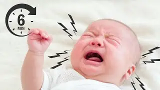 Crying Baby Sounds for Dog Training Desensitization (See Description!)