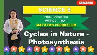SCIENCE 8: Q1_WEEK 7- Day 1: CYCLES IN NATURE- PHOTOSYNTHESIS ||MATATAG CURRICULUM