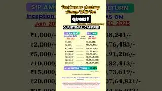 Quant Small Cap Fund: SIP Returns Since 2013 (Historical Data) #investing #mutualfunds