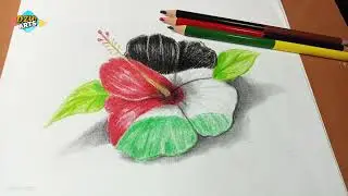 رسم علم فلسطين | رسم عن فلسطين على زهرة | رسم سهل | رسم ثلاثي الابعاد | تعليم الرسم | رسم