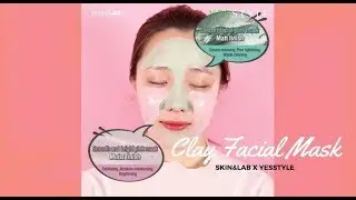 Clay Mask For Fighting Acne & Moisturizing Skin | SKIN&LAB Clay Facial Mask | YesStyle Korean Beauty