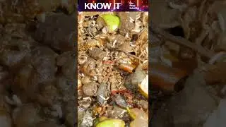 10 удивительных фактов о микробивории