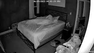 I Sleep, Cats Don't - Volume 7