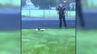 Cops rescue skunk from cup