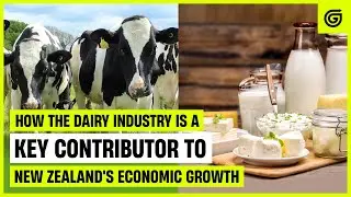 How the dairy industry is a key contributor to New Zealand's economic growth!