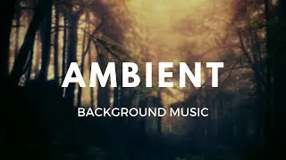 Exotic Indian Rain (Bansuri  Meditative) - Royalty-Free Background Music | Ambient