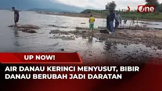 Penyusutan Air Danau Kerinci Kian Parah, Warga Sekitar Mulai Resah | UP NOW!
