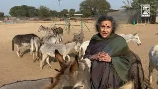 Large Animals | Gurgaon Lifetime Sanctuary | Geeta Seshamani | FRIENDICOES SECA
