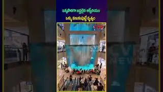 ఒక్కసారిగా బద్దలైన ఆక్వేరియం ఒళ్ళు వణుకుపుట్టే దృశ్యం | Broken aquarium | CVR NEWS