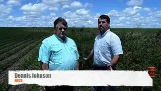On Farm Conservation