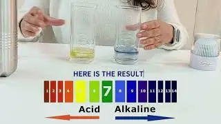 Bepure Alkaline water bottle | Balance pH | Alkaline Water Filter | pH upto 9 | Bepure