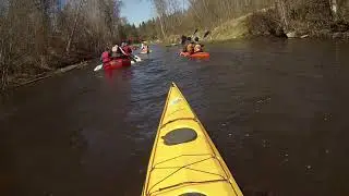 V&otilde;handu 2019 
