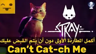 ستراي تروفي ( Can't Cat-ch Me ) 🏆 أكمل المطاردة الأولى دون ان يتم القبض عليك - Stray Trophy