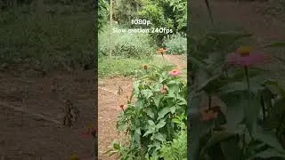 Oppo find x 3 pro