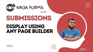 Ninja Forms Form Submissions Display Using Any Page Builder