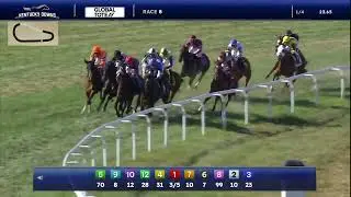 Crevalle d'Oro wins race eight on September 7, 2025 at Kentucky Downs