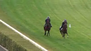 Le Derriere (inside) BM74 1200m Hcp Regal Vow (outside) VOBIS Gold Distaff 800m 55.79 400m 24.41