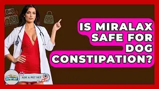 Is Miralax Safe For Dog Constipation? - Ask A Pet Vet