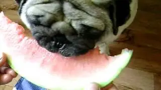 MOV01623.AVI