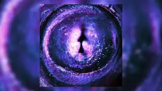 Rocket- Money Flow (Instrumental)