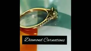 Diamond Engagement Ring ₹1.2 Lacs/$2,800 with Cashback every month. Free Shipping