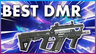The Best DMR in Rogue Company