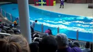 SEAWORLD GONE HORRIBLY WRONG!