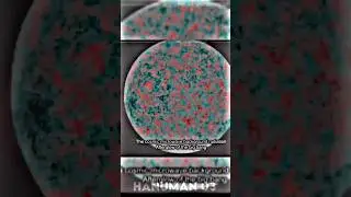 UNIVERSE LIVES IN LORD VISHNU 🕉️ #vishnu #shortvideo #status #krishna #viral #shorts #shortsfeed