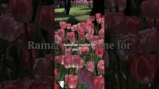 Ramadan routine ✨💗 #viral #islamicshorts #shorts #ramadan #trendingshorts #foryou #fyp #shortsfeed