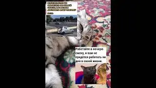 мем 91 #хочуврек #мем #мемчики