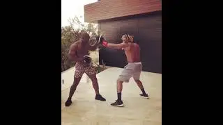 KSI PADWORK WITH LEON WILLS #SHORTS #BOXINGSHORTS