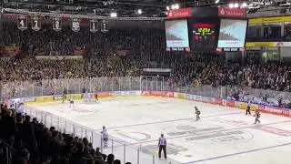 Krefeld Pinguine vs. Kölner Haie 31.01.2020 (8:2)