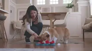 Dog Brick Dog Puzzle Treat Finding Toy
