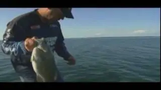 Getting School'd - Clear WaterJerkbait Show