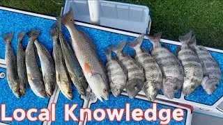 Techniques for Sea Trout Sheepshead Redfish non stop action