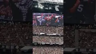 Raiders vs Dolphins 2021 Sights And Sounds
