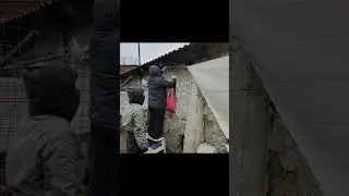 parasolare