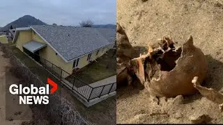 BC property owner faces $100,000 in bills after discovery of 2 skulls
