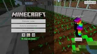 Minecraft | De Chill