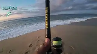 un día activo de pesca de orilla en los cabos!