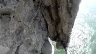 Psychobloc Cat ba