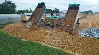 Big Filling up huge land Bulldozer SHANTUI DH17C2 pushing stones, Dump truck 25.5T 