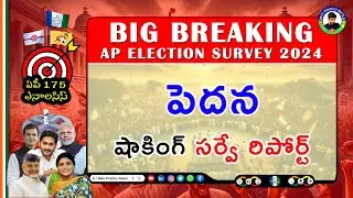 PEDANA ELECTION SURVEY | AP SURVEY 😮🔥 YSRCP | TDP | JANASENA | BJP