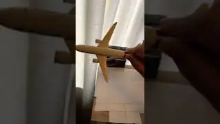 American Airlines flight 191 RIP