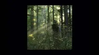 FOSTER THE PEOPLE // HOUDINI (SLOWED)
