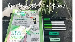 HAZ APUNTES BONITOS SIN LETTERING - ¿Cómo hacer un infograma? / karlasnotes