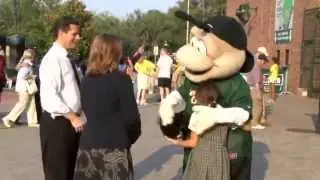Sand Gnats Basball Fund Rasier