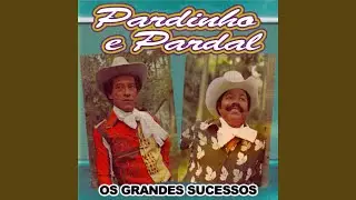 Pagode Não Tem Dono