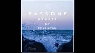 PassONE - Gybe